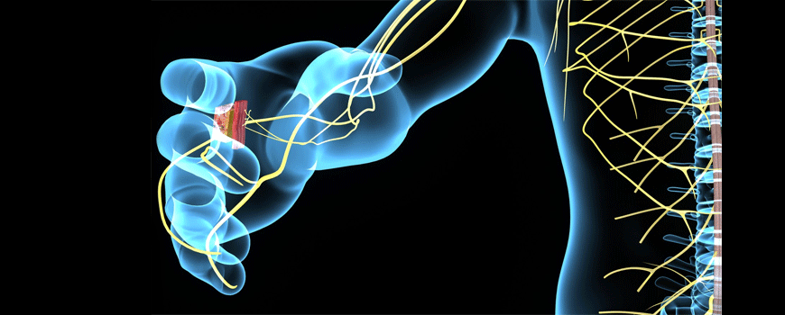 Albumin kao prognostički marker Guillain-Barre sindroma