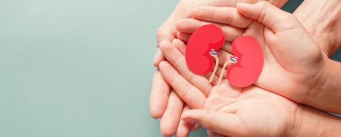 Dapagliflozin ispoljava renoprotektivni efekat bez obzira na postojanje dijabetesa
