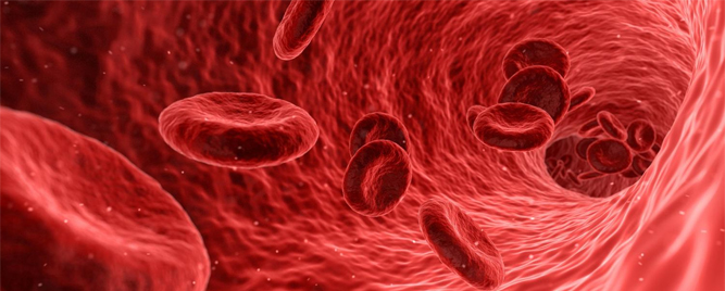 Mikrovaskularna opstrukcija tokom pPCI: može li pomoći intrakoronarna fibrinoliza?