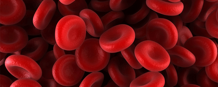 Genska terapija hemofilije B