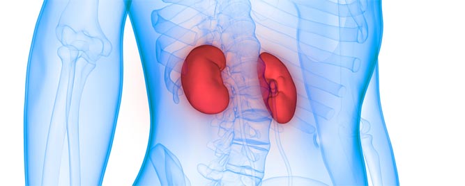 Uspešna transplantacija bubrega sa akutnim bubrežnim oštećenjem