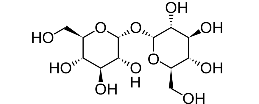 Trehaloza, mogući krivac Clostridium difficile epidemije