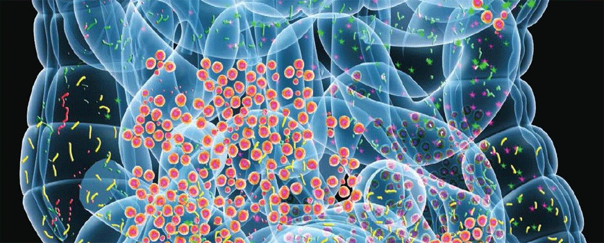 Probiotici i inflamatorne bolesti creva