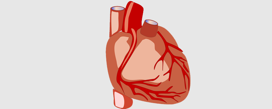 CABG kod dijabetičara sa disfunkcijom leve komore