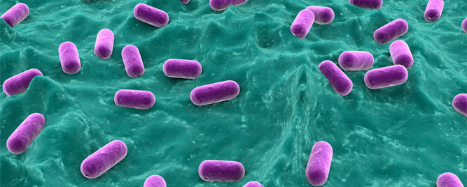 Primena probiotika kod dece sa gastroenteritisom