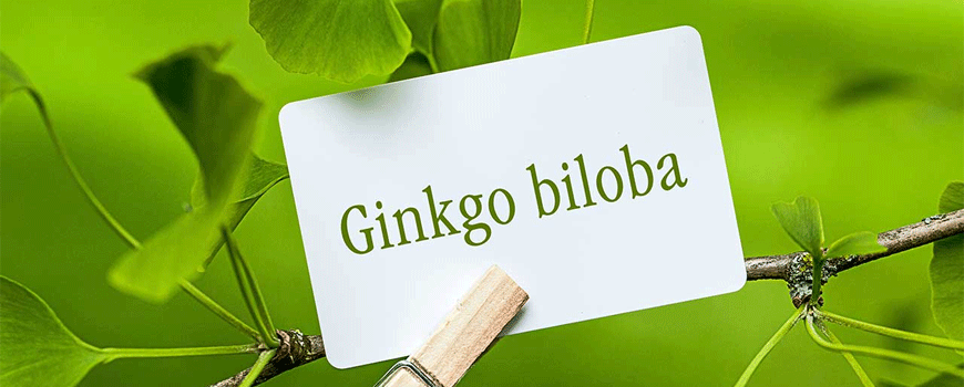 Ginko biloba nakon akutnog ishemijskog moždanog udara