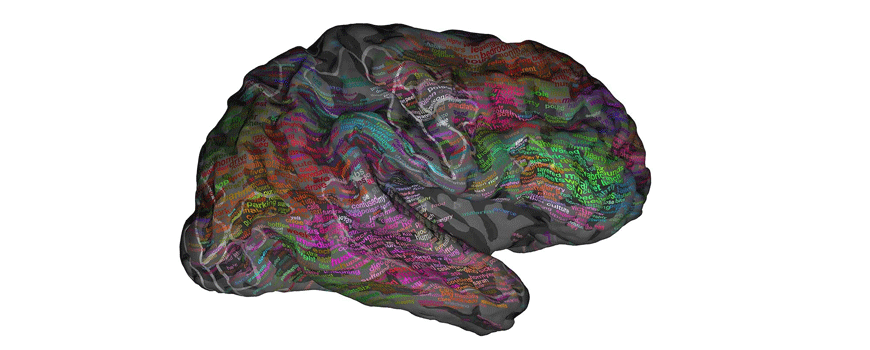 Najpreciznija mapa mozga do sada