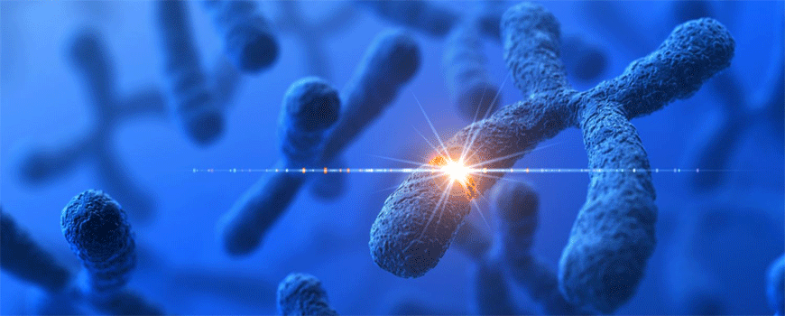 Inflamatorne bolesti creva i Parkinsonova bolest – šta je zajedničko?