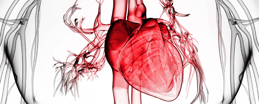 Lečiti samo infarktnu leziju ili sve promene na koronarnim arterijama?