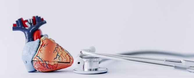 Revaskularizacija vođena IVUS-om u  dve velike kliničke studije na ACC 2026