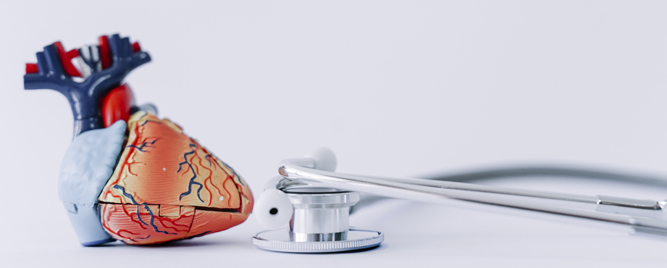 Optimalno vreme za kompletnu revaskularizaciju STEMI pacijenata: nova i dopunjena meta-analiza