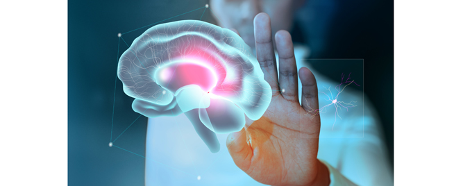Loberamisal: da li je neuroprotekcija nakon moždanog udara dobila kliničku potvrdu?